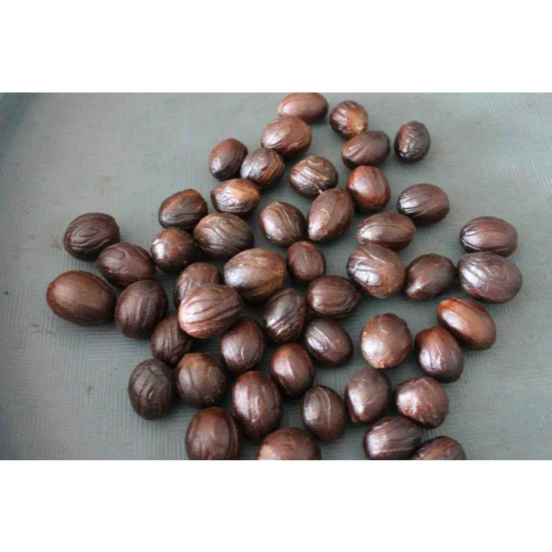 Jual Biji Pala Biji Pala Kering Nutmeg Biji Pala Original Pala