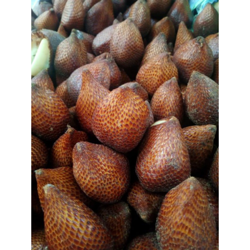 Jual Salak Pondoh Kg Shopee Indonesia