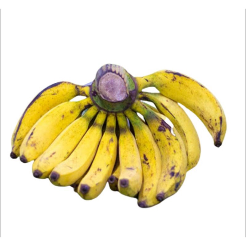 Jual Pisang Raja 1 Sisir Gerobak Sayur Palembang Shopee Indonesia