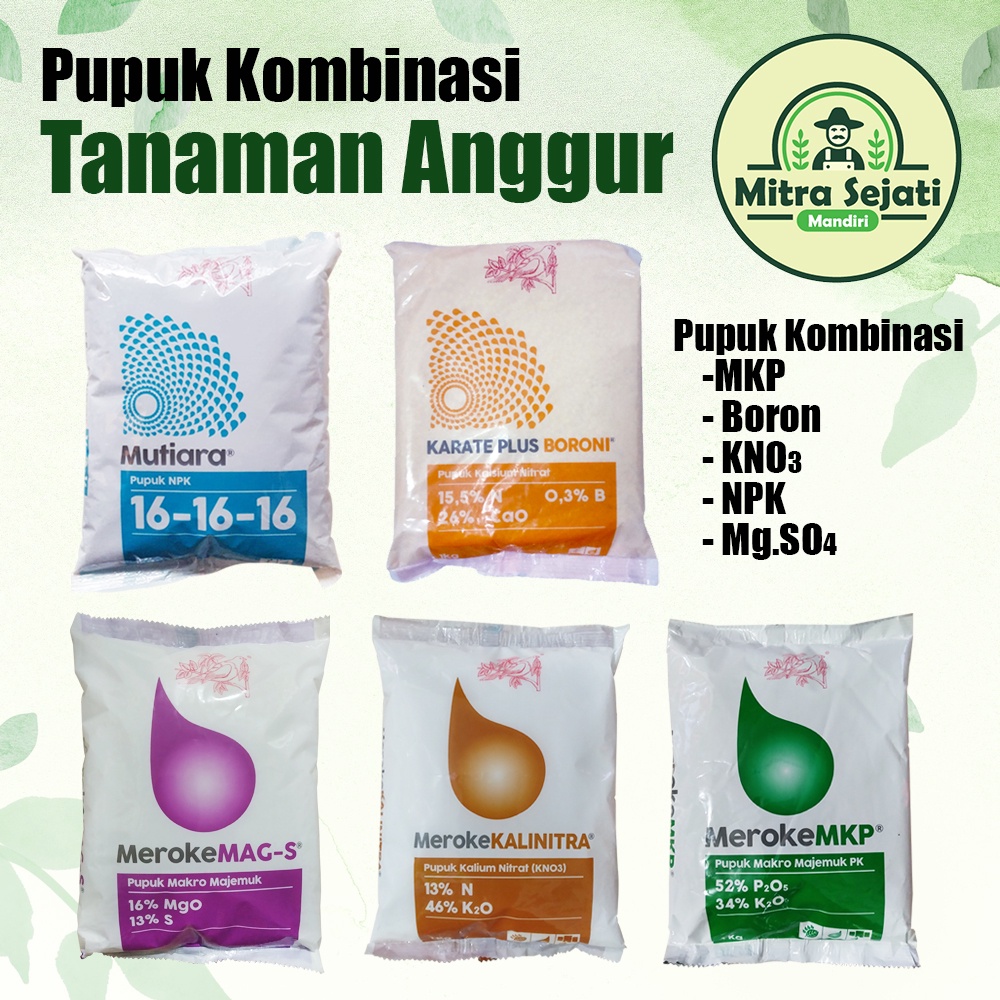 Jual Pupuk Kombinasi 1 Kg Lengkap Tanaman Anggur Dan Tanaman Berbuah