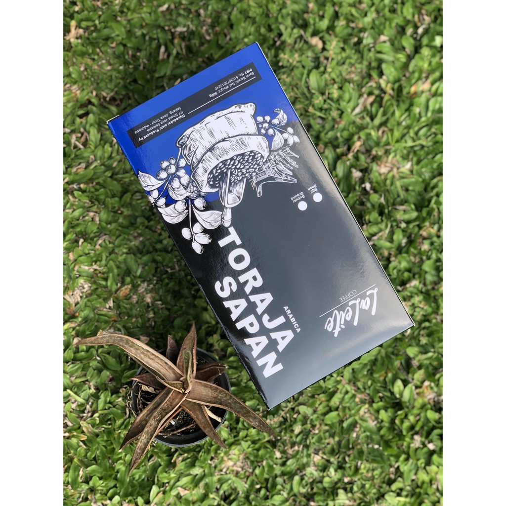 Kopi Arabica Toraja Sapan Gr Roastedbean Biji Sangrai Shopee