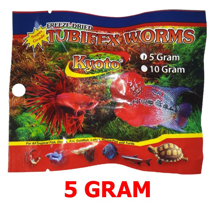 Jual Tubifex Worms 5 Gram Cacing Sutra Beku Kering Kyoto Worm Makanan