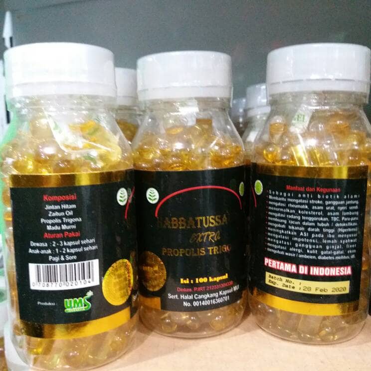 Jual Habbatussauda Extra Propolis Trigona UMS Isi 100 Kapsul Shopee