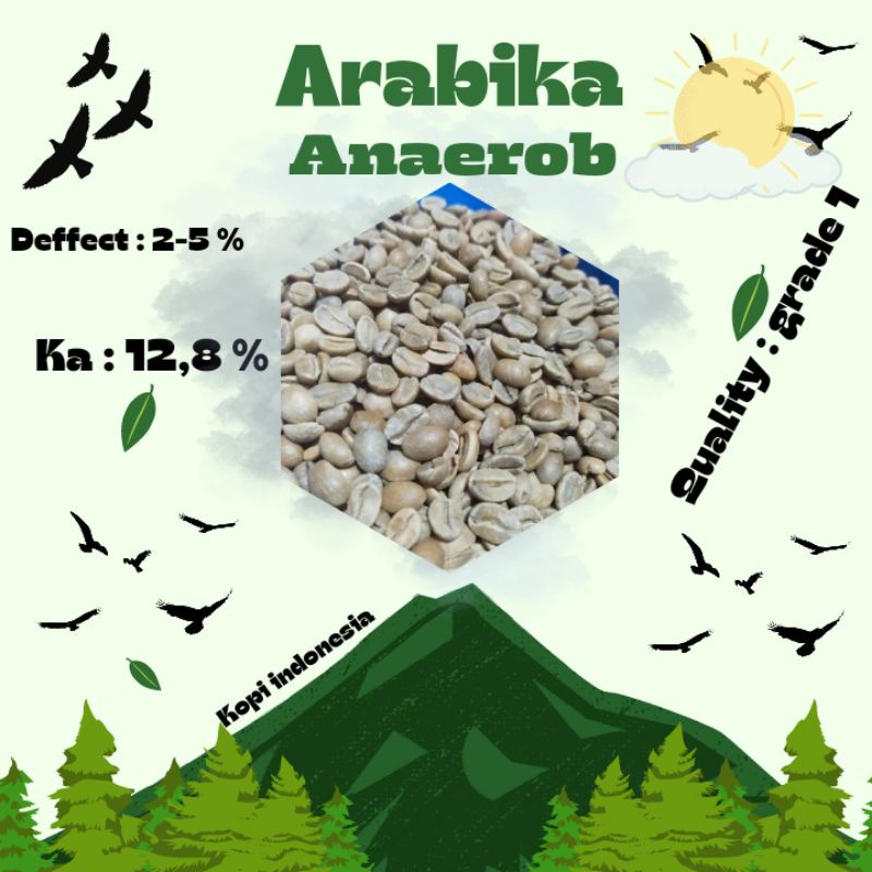 Jual Green Bean Biji Kopi Arabika Java Ijen Anaerob Kg Shopee