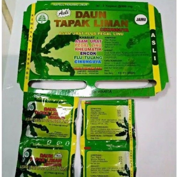 Jual KAPSUL DAUN TAPAK LIMAN HIJAU Ijo Herbal Asamurat Dan Pegal Linu