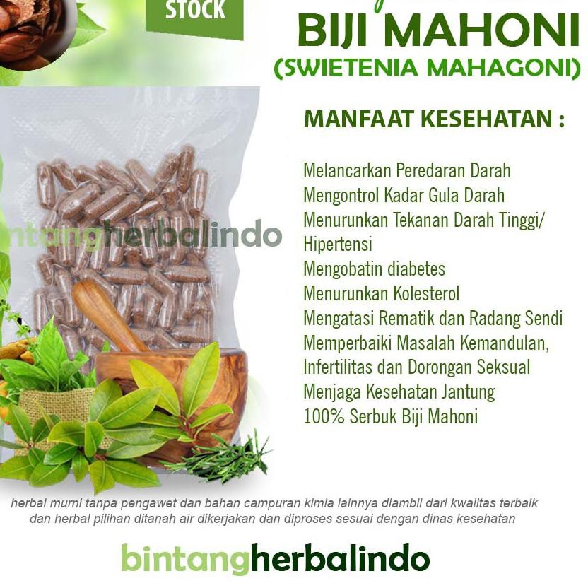 Jual BIJI MAHONI Kapsul Curah Infertilitas Diabetes 100 Capsul