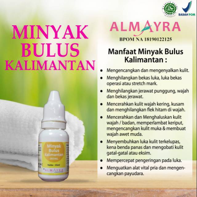 Jual Minyak Bulus Kalimantan Almayra Original Shopee Indonesia