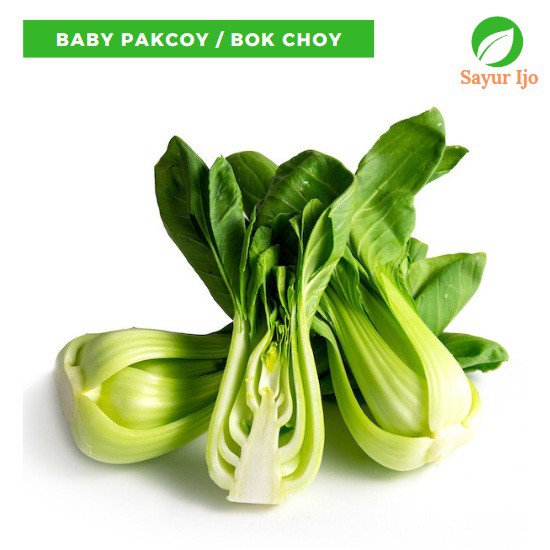 Baby Pakchoy 250 Gram Fresh Pak Choi Grade A Pakcoy Sawi Baby Bok Choy