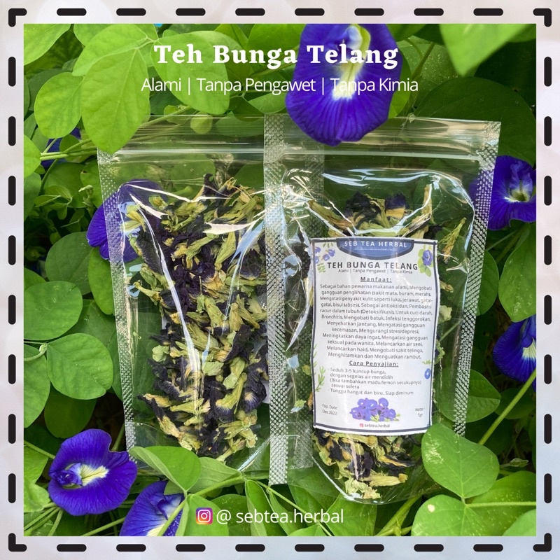 Jual Teh Bunga Telang Kering 10Gram Biji Bunga Telang Shopee Indonesia