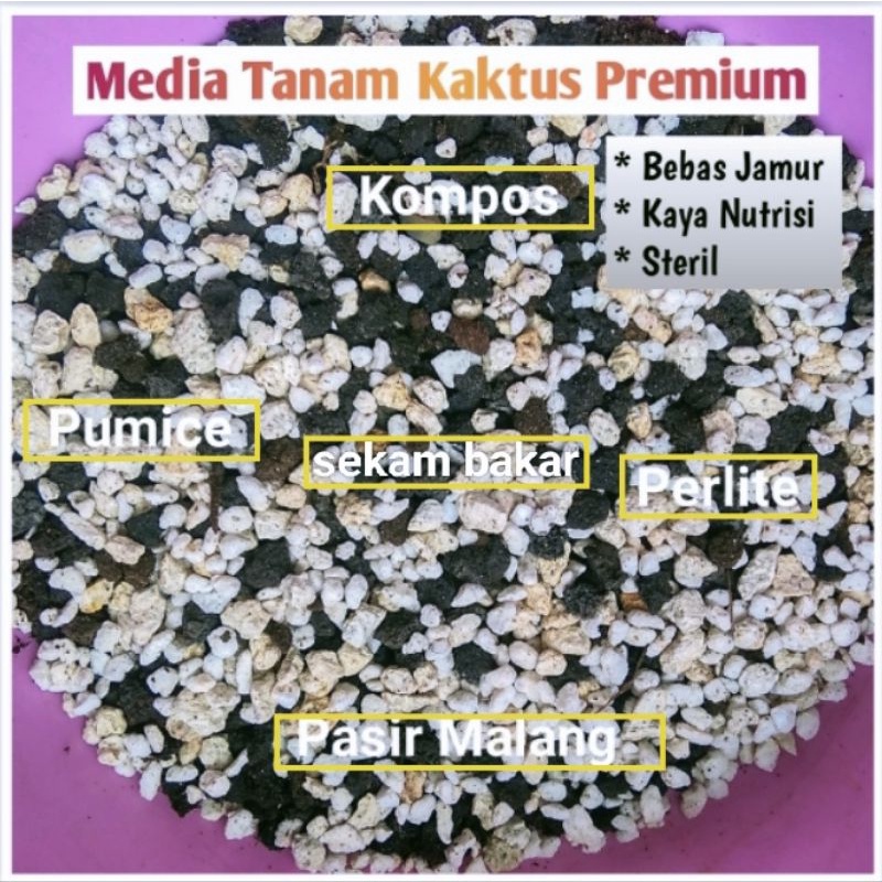 Jual Media Tanam Kaktus Dan Sukulen Premium Siap Pakai Shopee Indonesia