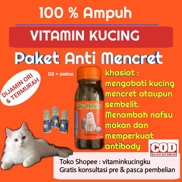 Jual Vitamin Kucing Sakit Mencret Obat Kucing Mencret Dan Masalah