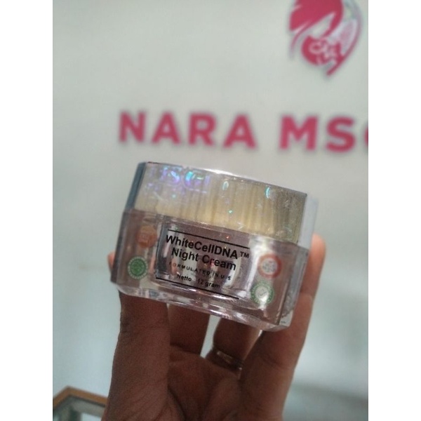 Jual White Cell Dna Night Cream Ms Glow Shopee Indonesia