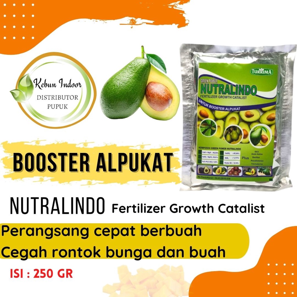 Jual Pupuk Organik Booster Alpukat Cepat Berbuah Perangsang Pelebat