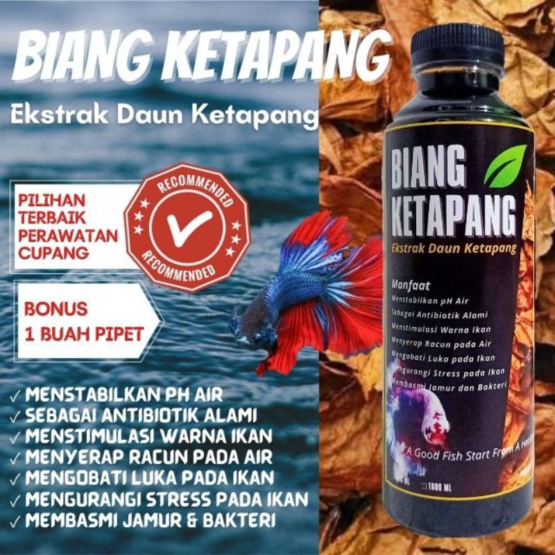 Jual Biang Ketapang 250ml Ekstrak Daun Ketapang Laut Spesial Super