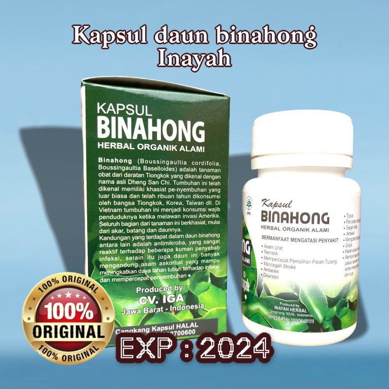 Jual Kapsul Daun Binahong Original Shopee Indonesia