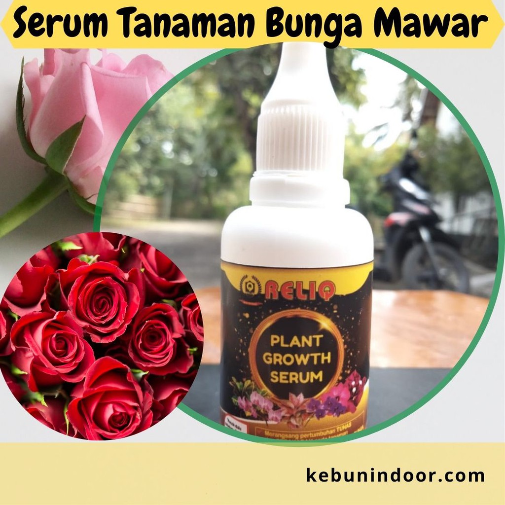 Jual Pupuk Hormon Sitokinin Auxin Pupuk Serum Bunga Mawar Reliq