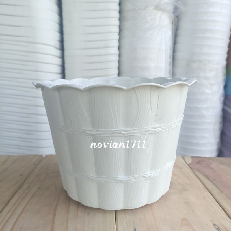 Jual Pot Bunga Tanaman Shallom Kayu Putih Shopee Indonesia