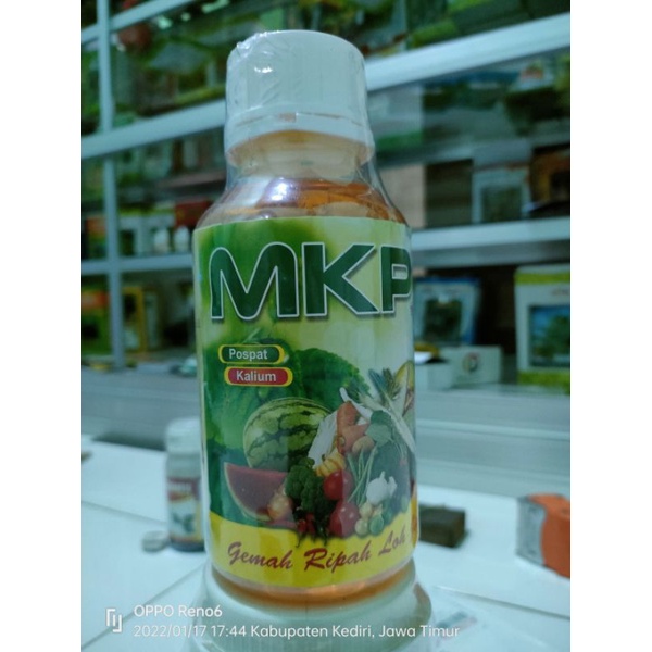 Jual Mkp Cair Ml Penambah Bobot Buah Plus Silika Dan Giberlin Acid