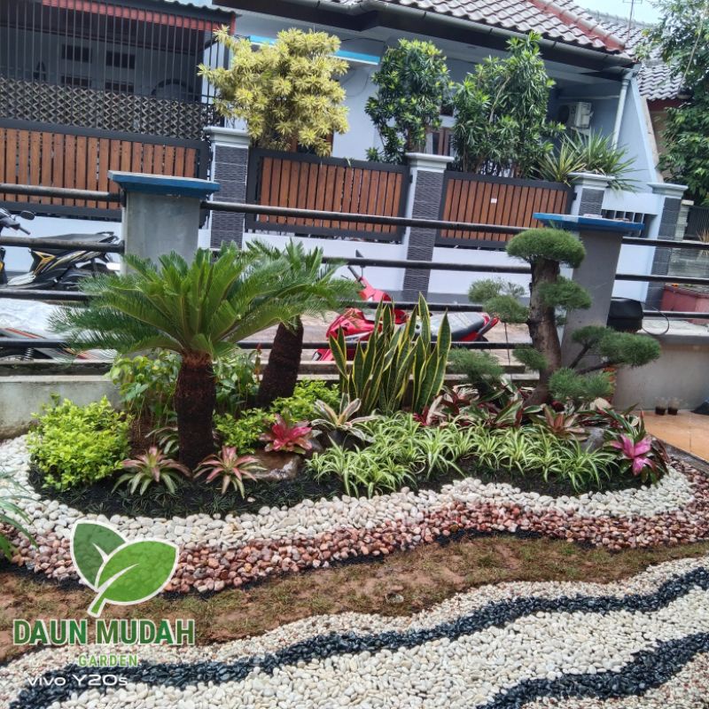 Jual Menerima Pembuatan Taman Kering Minimalis Taman Bonsai Dry