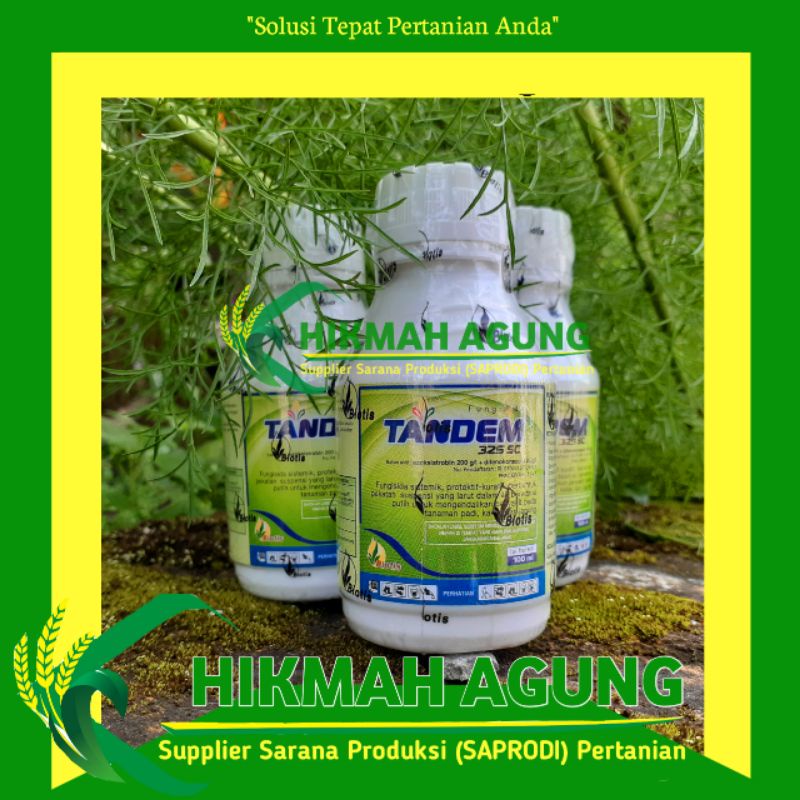 Jual Fungisida Tandem Sc Shopee Indonesia