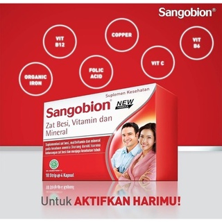 Jual Sangobion Per Strip Isi Kapsul Tambah Darah Anemia Shopee