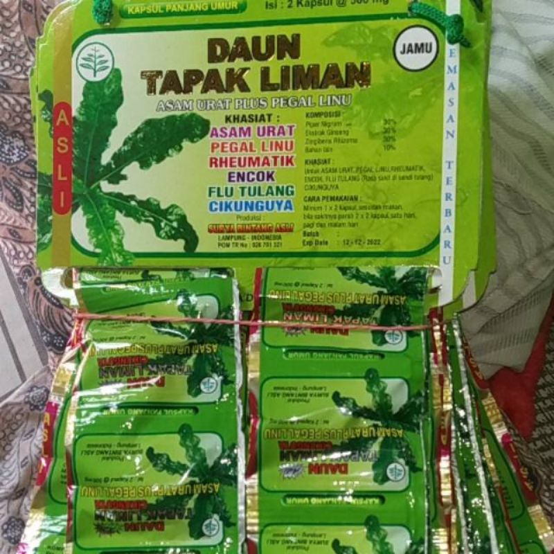 Jual Kapsul Daun Tapak Liman Obat Nyeri Sendi Dan Pengapuran Tulang