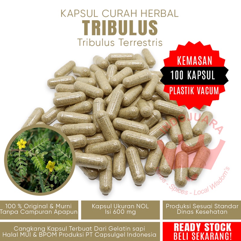 Jual 100 Kapsul TRIBULUS TERRESTRIS Herbal Pembentuk Otot Ejakulasi