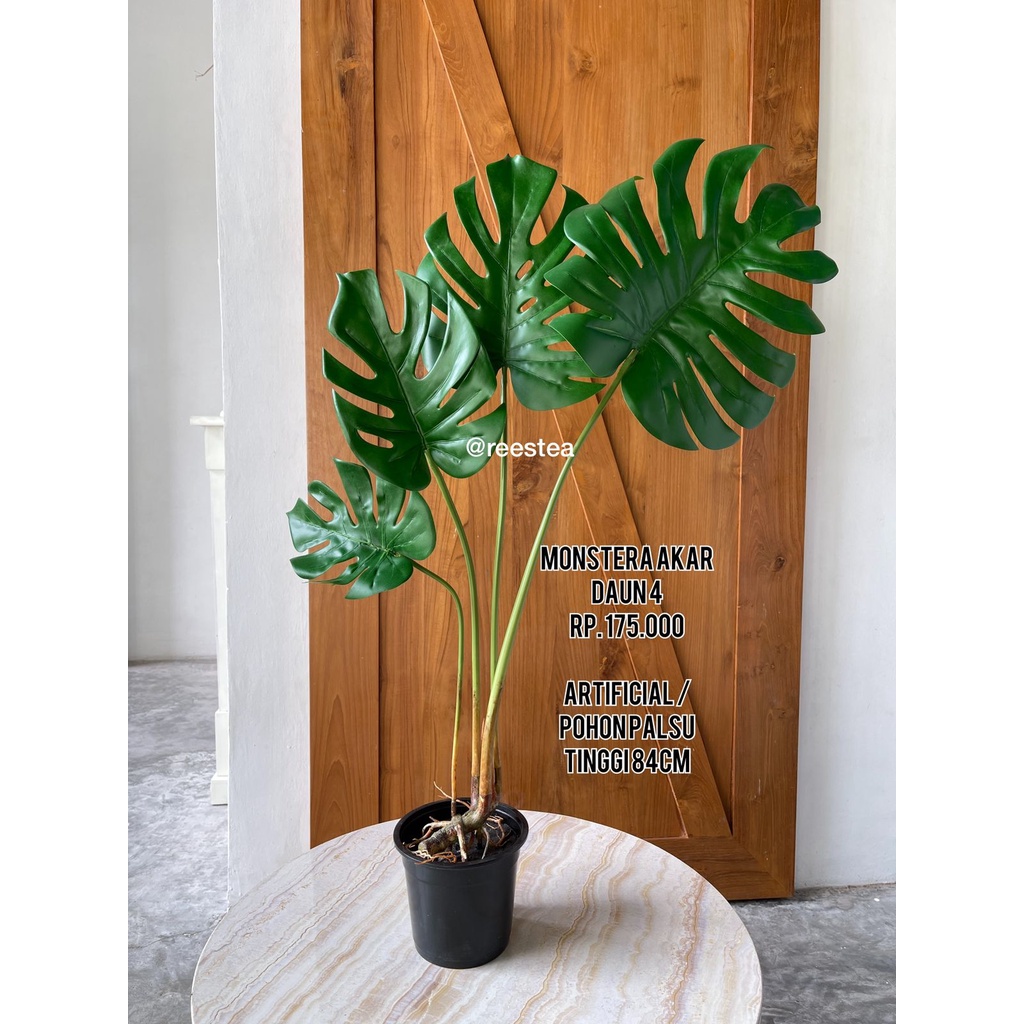 Jual Pohon Akar Monstera Daun Pohon Artificial Pohon Latex Shopee