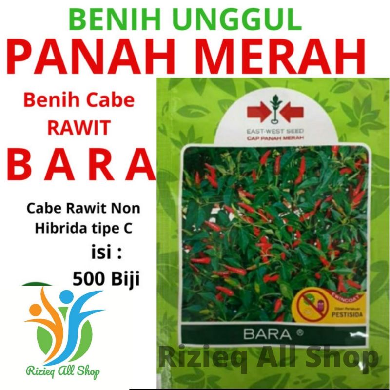 Jual Benih Cabe Rawit Unggulan Bara Isi Sekitar Biji Produk Cap