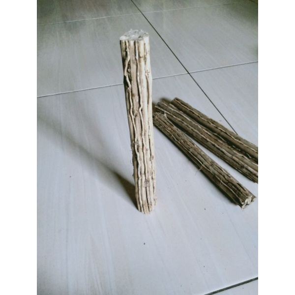 Jual Batang Senggani Hardscape Shopee Indonesia