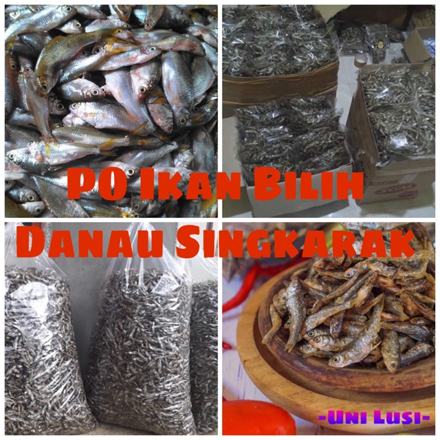 Jual Po Ikan Bilih Goreng Asli Danau Singkarak Shopee Indonesia