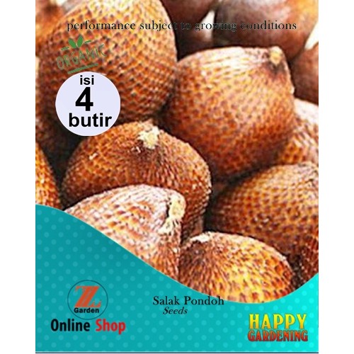 Jual Butir Bibit Biji Benih Tanaman Buah Salak Pondoh Shopee Indonesia