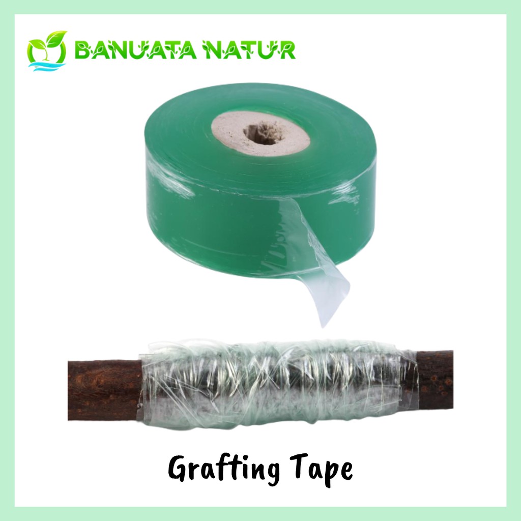 Jual Grafting Tape Plastik Okulasi Sambung Pucuk Enten Cm