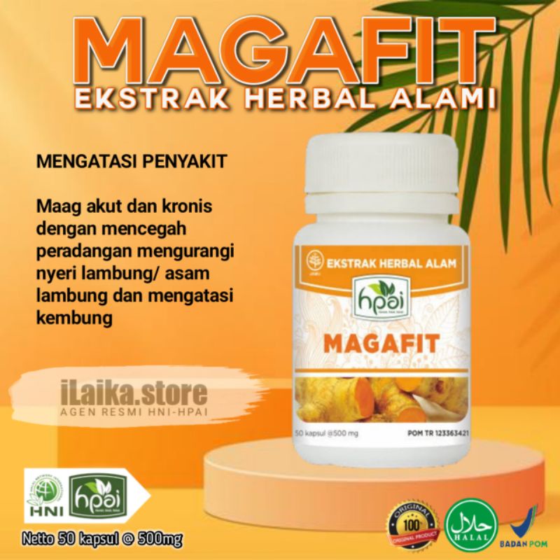 Jual Magafit Hni Hpai Magafit Obat Maag Obat Lambung Harbal