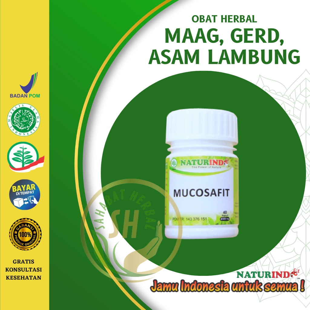 Jual Herbal Asam Lambbung Obat Maag Gerd Maag Akut Maag Kronis Obat Bau