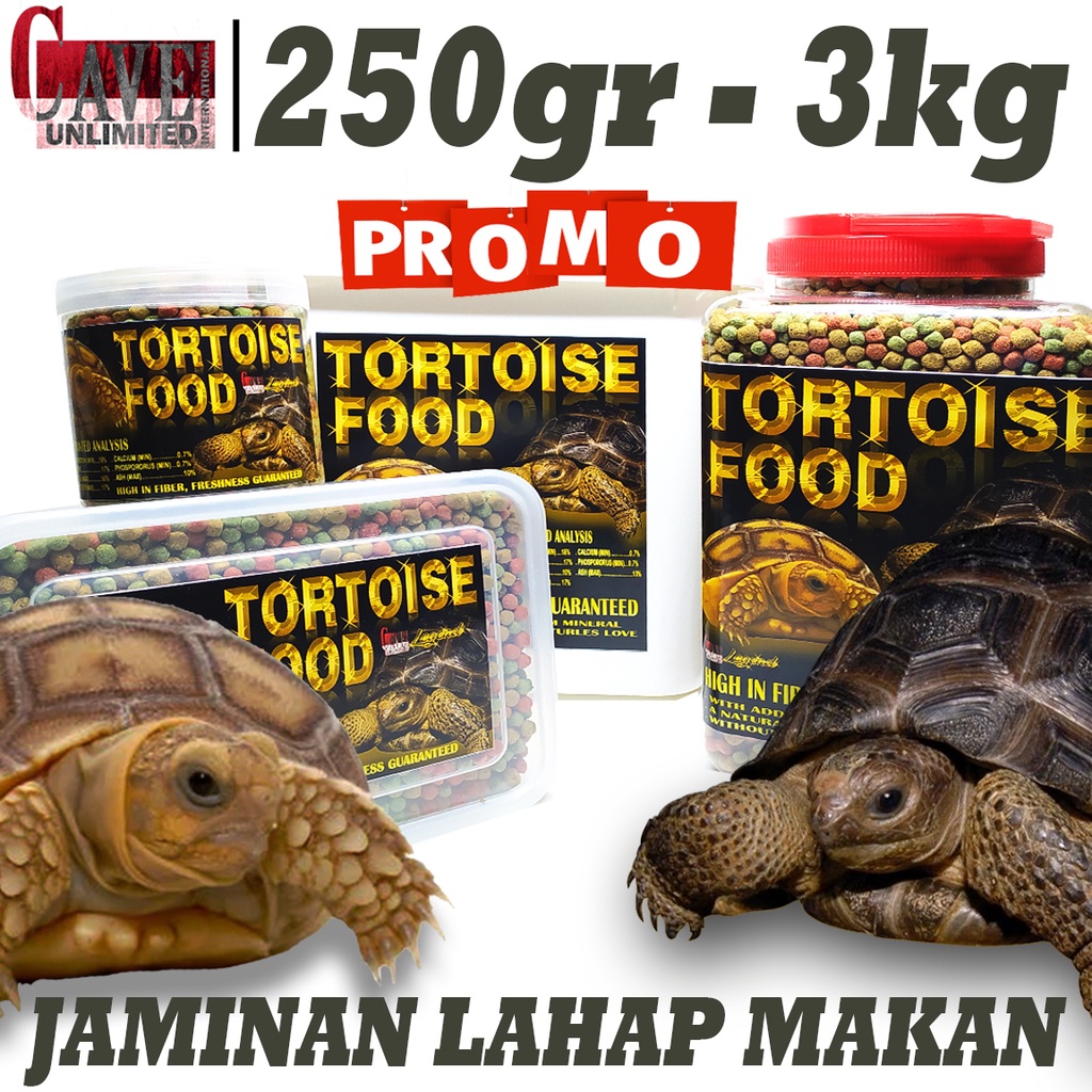 Jual Pakan Makanan Pelet Tortoise Torto Food Pakan Kura Kura Darat