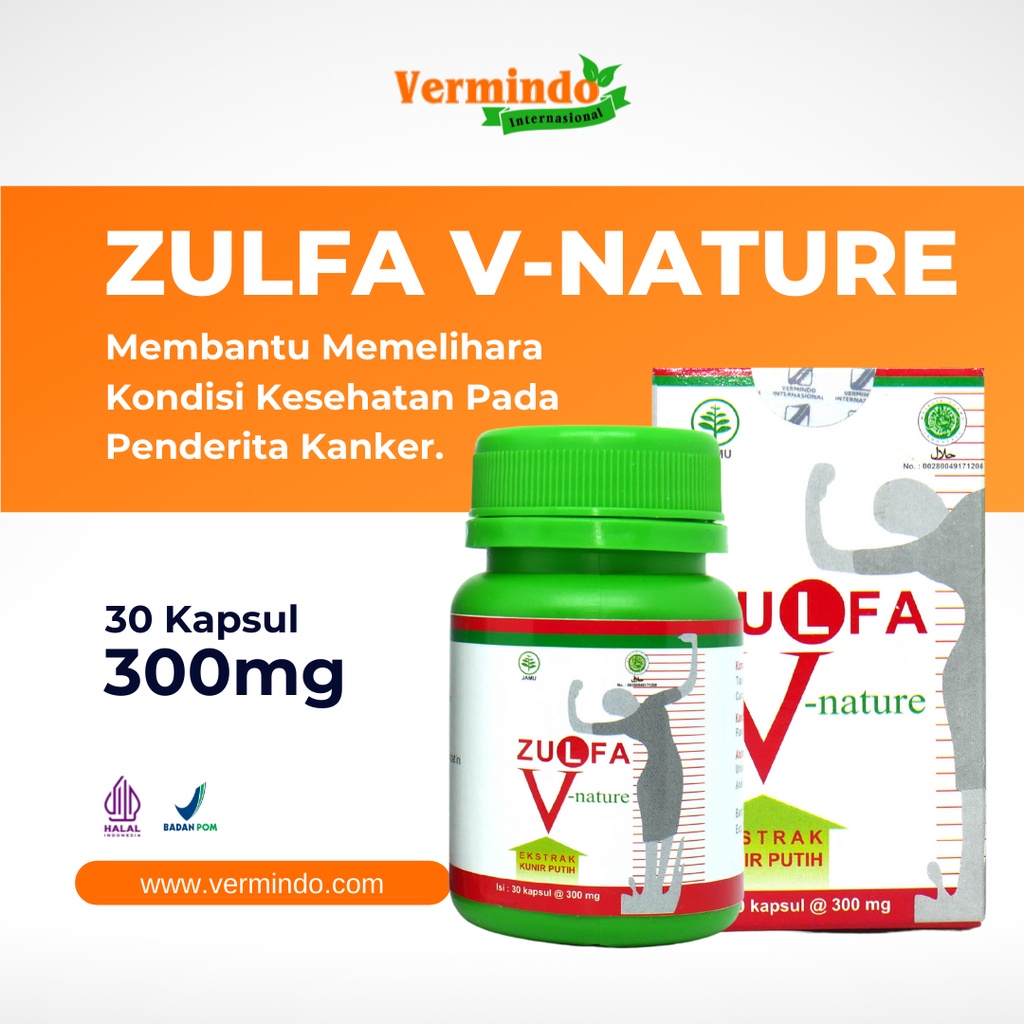 Jual Zulfa V Nature Kapsul Mg Ekstrak Kunir Putih Shopee