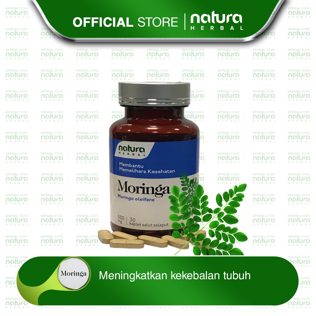 Jual Natura Moringa Daun Kelor Meningkatkan Kekebalan Tubuh 1