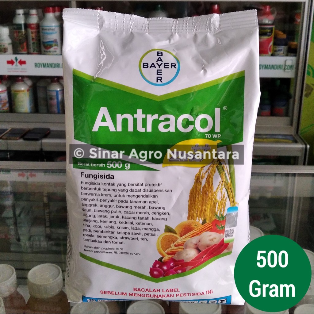 Jual Fungisida Kontak Antracol Wp Gram Indonesia Shopee Indonesia