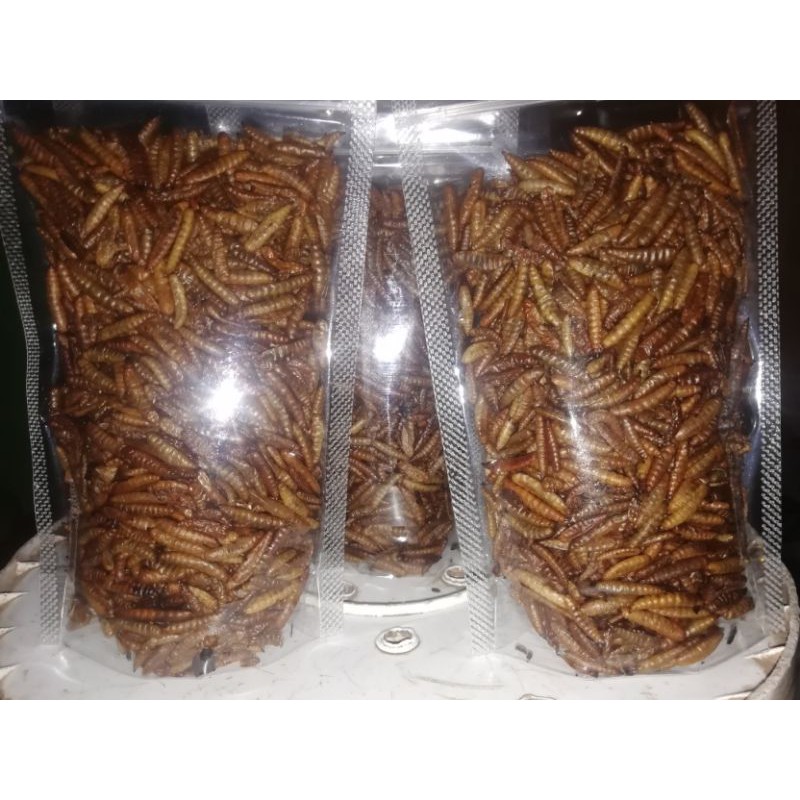 Jual MAGGOT KERING Shopee Indonesia