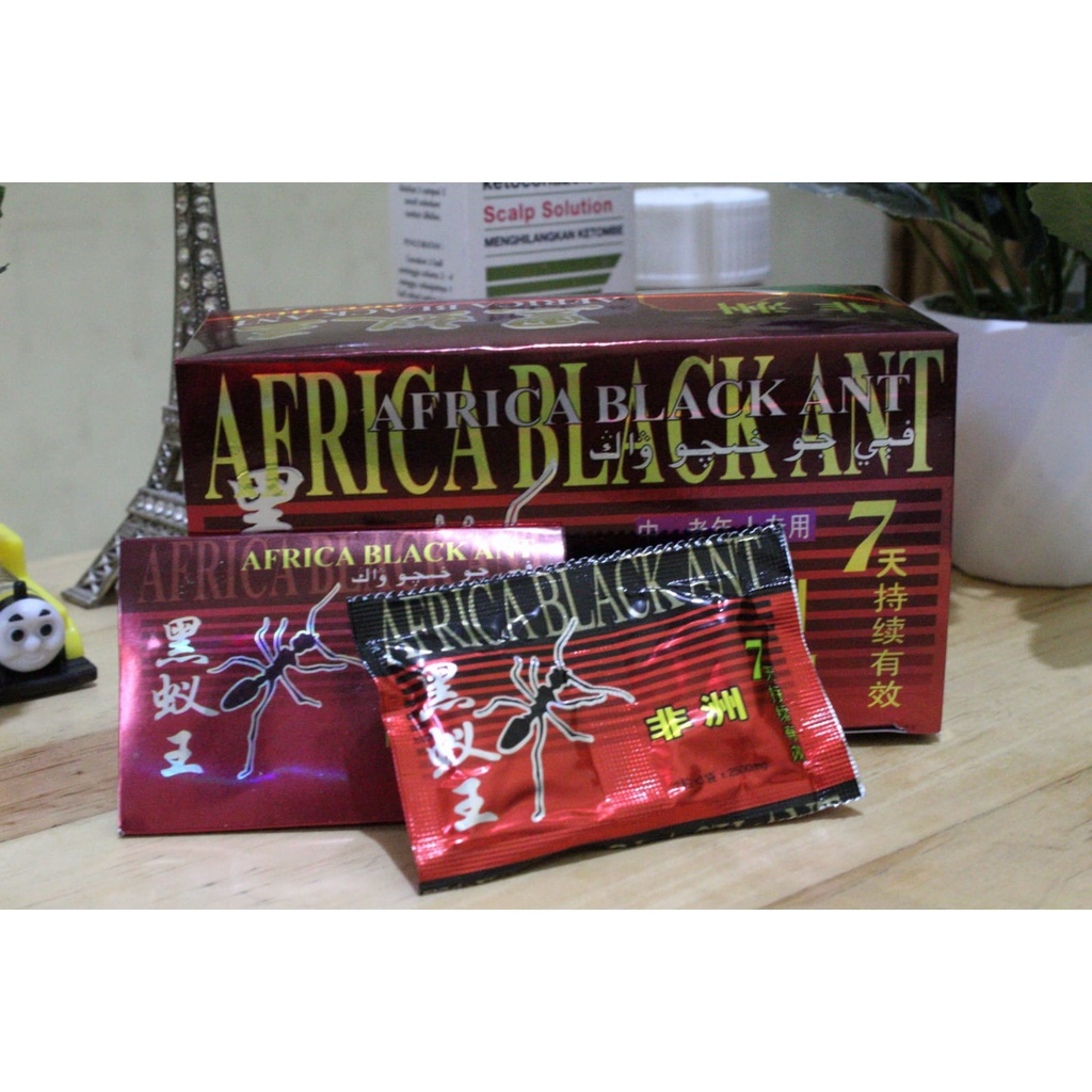 Jual SEMUT HITAM AFRIKA SEMUT HITAM ORIGINAL 1 BOX ISI 15 SACHET ST