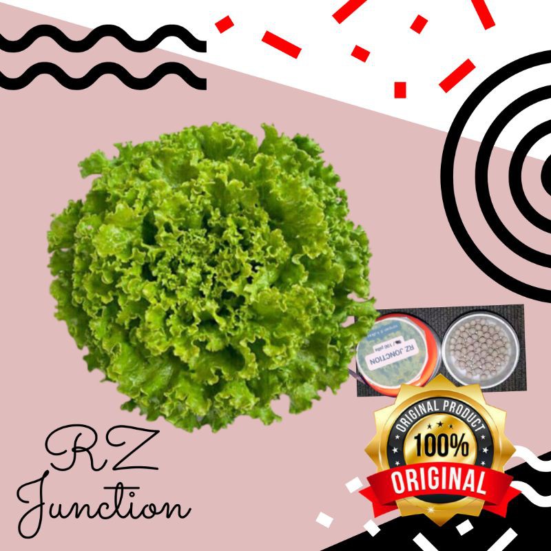 Jual Benih Selada Batavia Rz Junction Isi Pil Orisinal Shopee