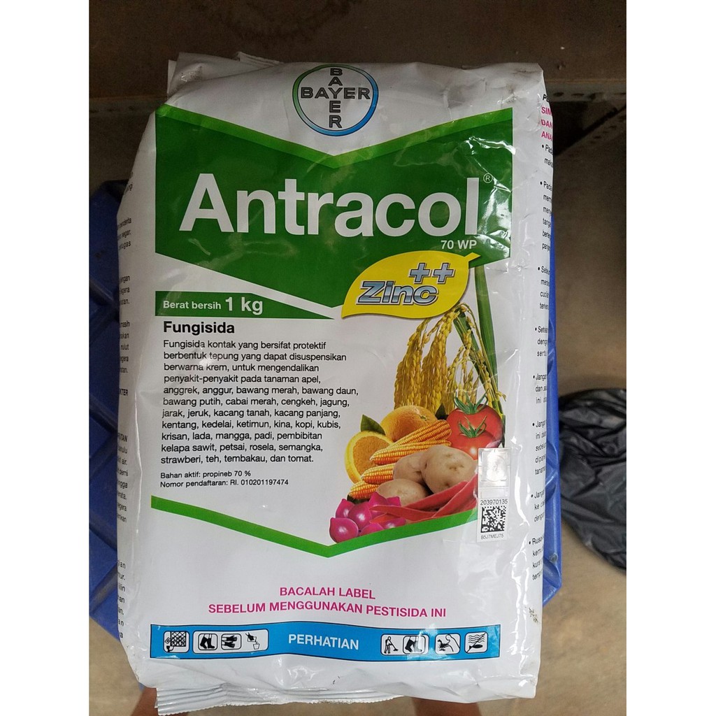 Jual Fungisida Antracol 70WP 1KG OBAT JAMUR Shopee Indonesia