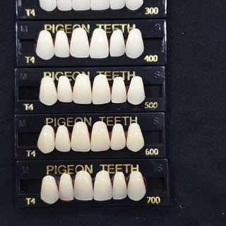 Jual Anasir Gigi Tiruan Gigi Palsu Akrilik Caiyu Artificial Teeth