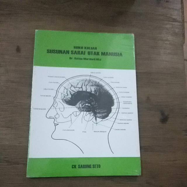 Jual Buku Kuliah Susunan Saraf Otak Manusia Shopee Indonesia