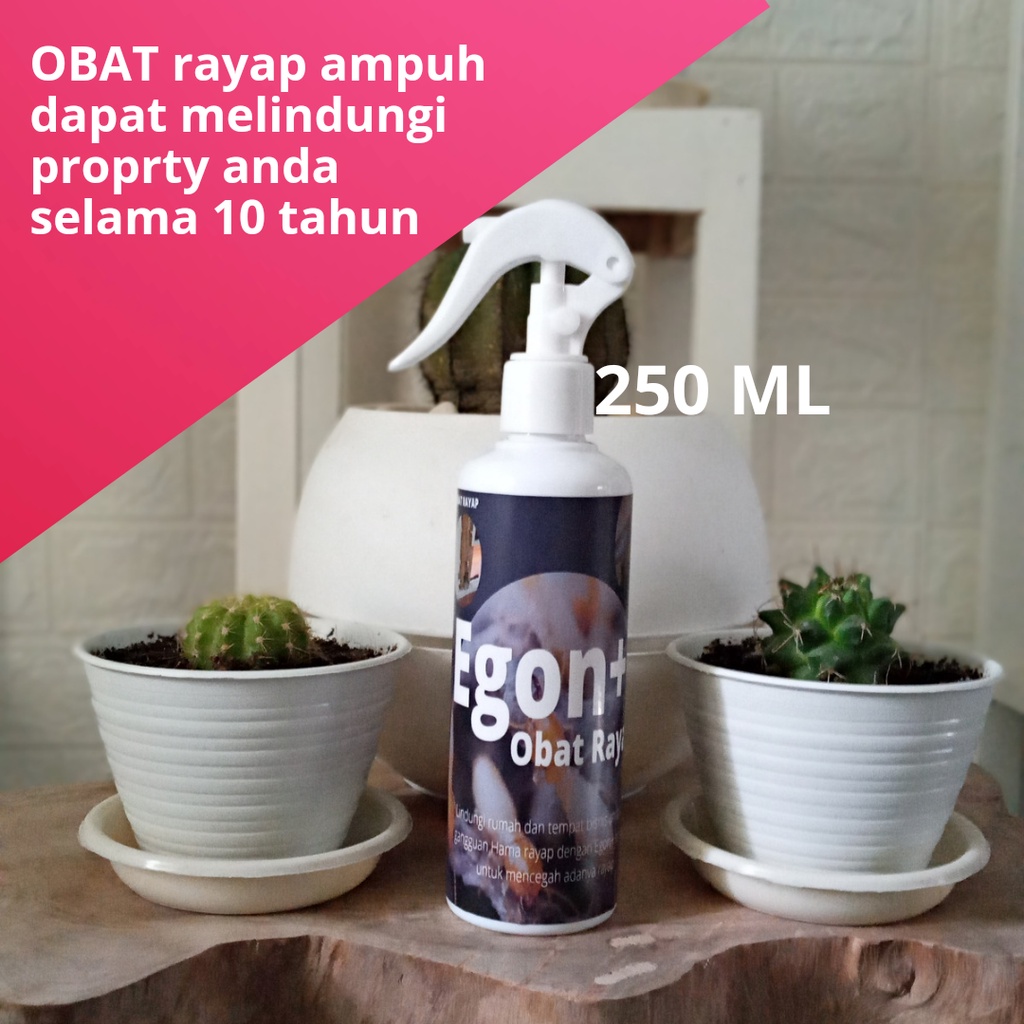 Jual Obat Anti Rayap Sampai Ke Sarang Racun Pembasmi Rayap Tanah