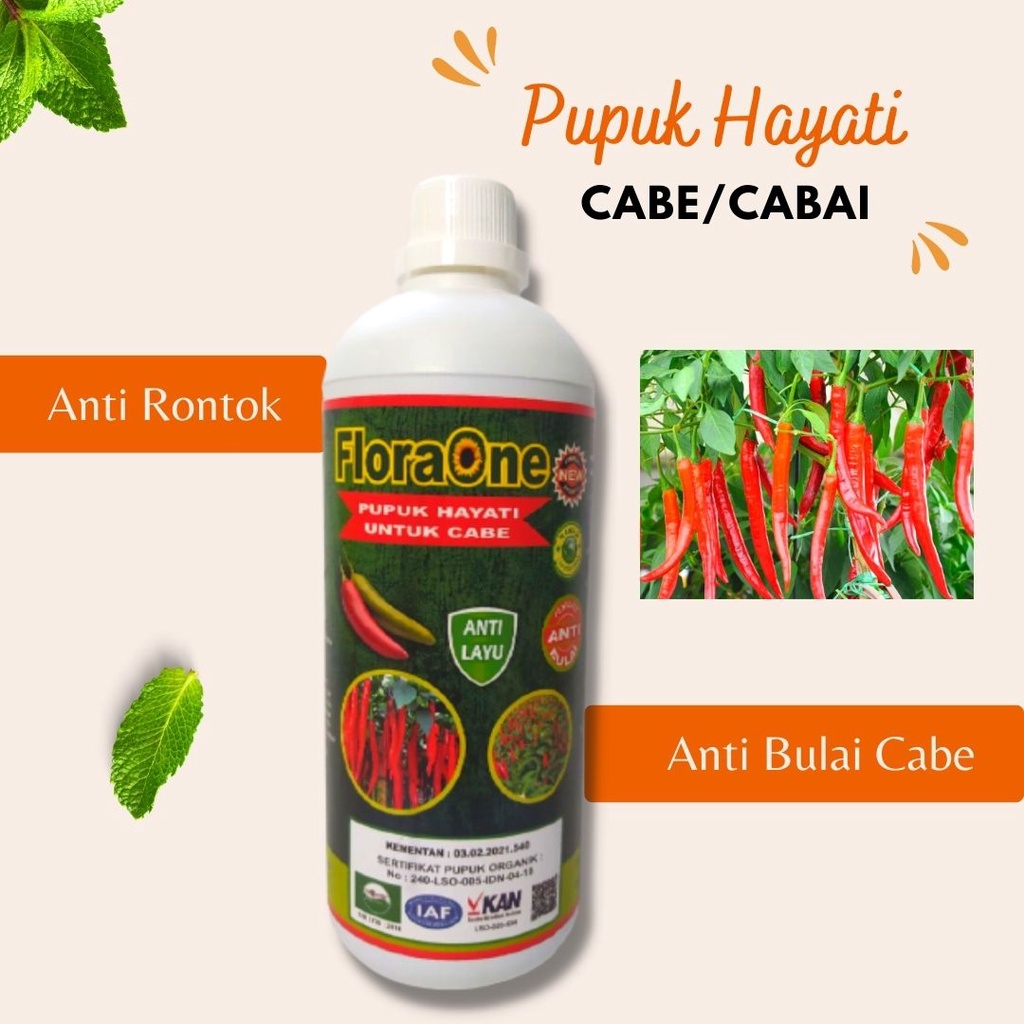 Jual PUPUK FLORAONE CABE 1 LITER Pupuk Cabe Rawit Saat Berbunga Pupuk