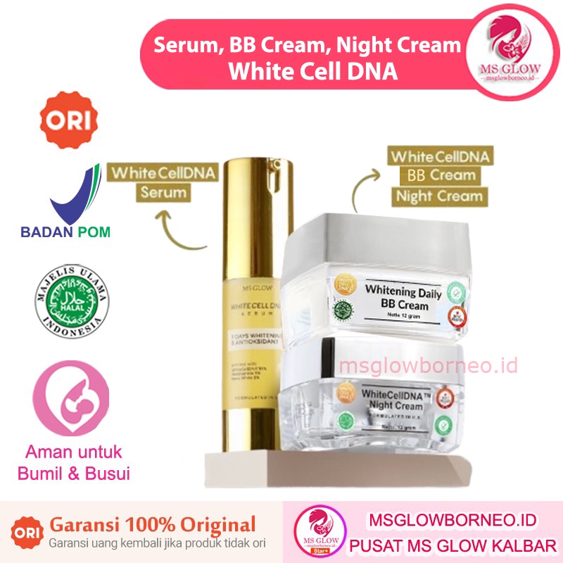 Jual White Cell Dna Ms Glow Whitecelldna Night Cream Serum Msglow