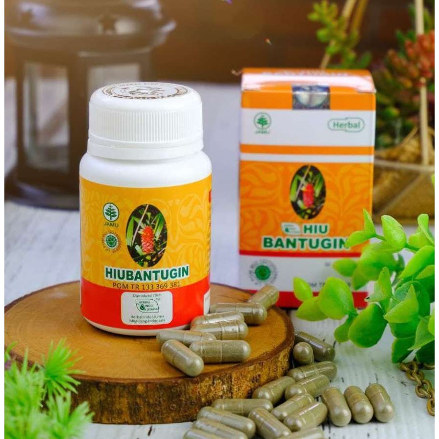 Jual Hiu Bantugin Herbal Peluruh Batu Ginjal Herbal Indo Utama Isi