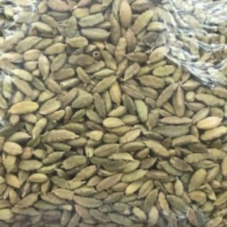 Jual Cardamom Kapulaga Hijau Cardex Lmg Kg Shopee Indonesia